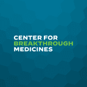 Custom WordPress Theme for Center for Breakthrough Medicines